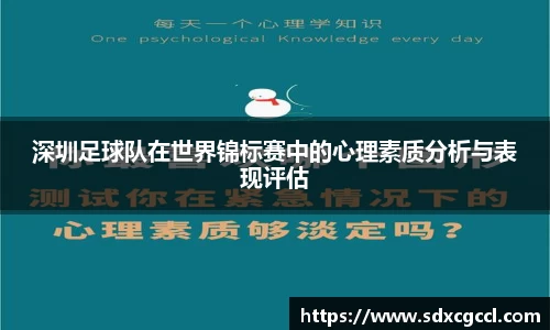 深圳足球队在世界锦标赛中的心理素质分析与表现评估