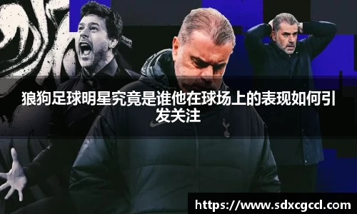 狼狗足球明星究竟是谁他在球场上的表现如何引发关注